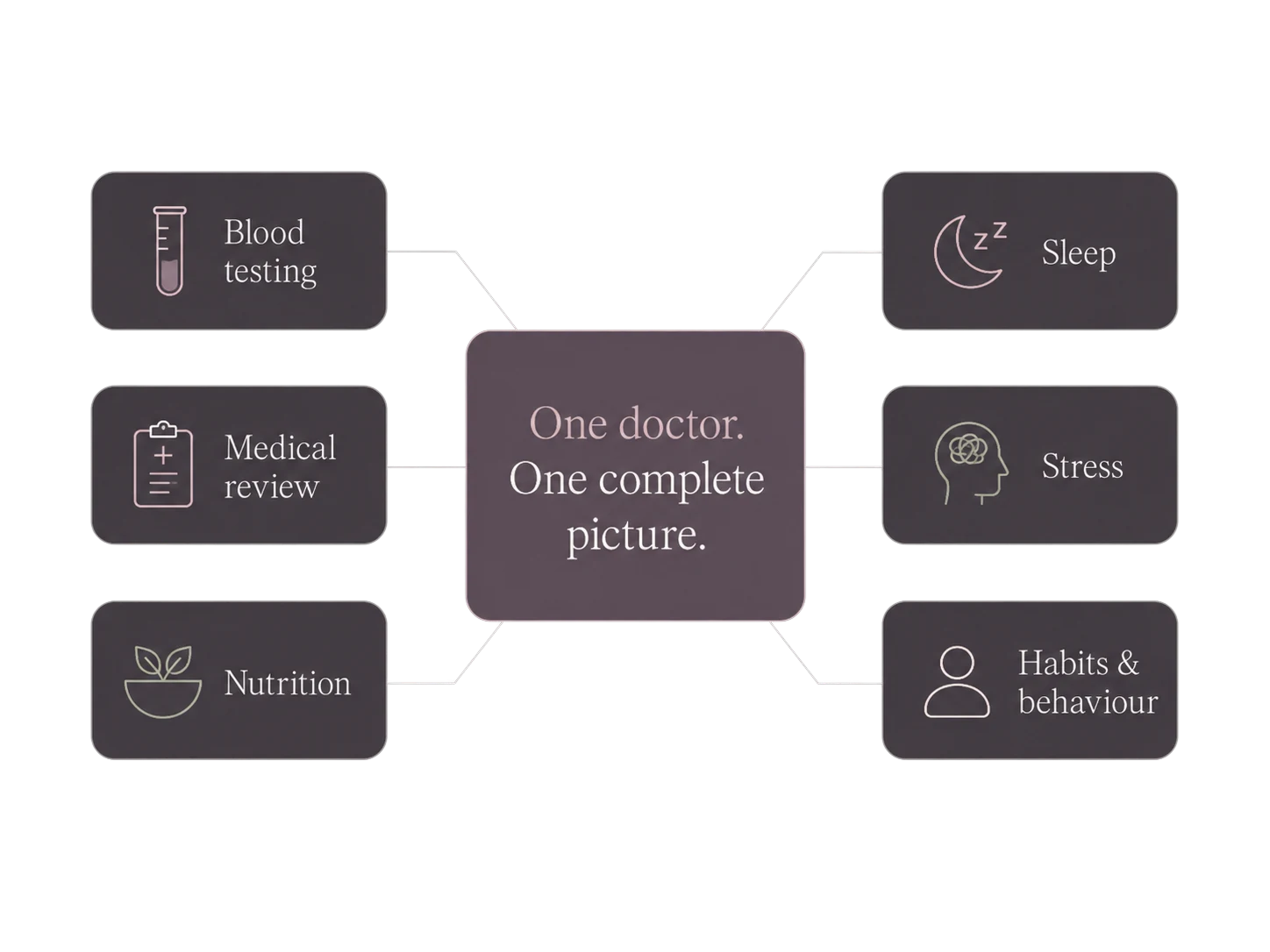 Blood testing, medical review, nutrition, sleep, stress and habits connected around one complete picture